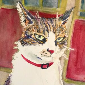 cat